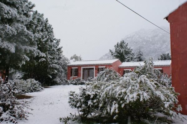 Agriturismo l'Aglientu B&B