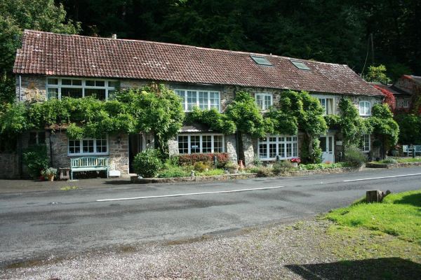 The Bark House