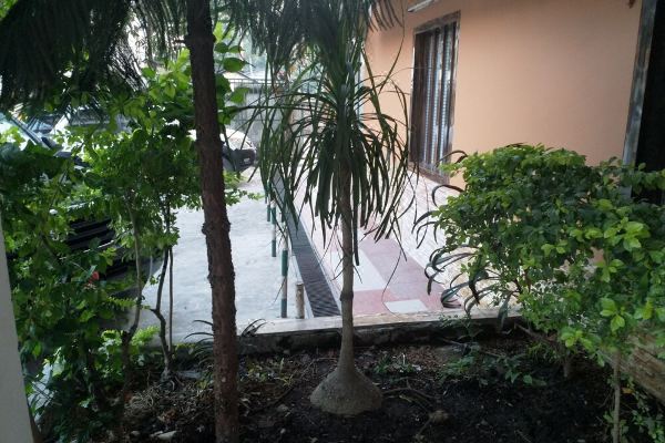 Tropical Suites