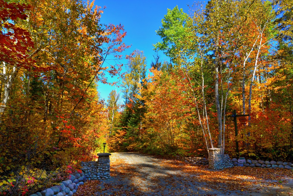 Holiday rentals Maple Creek