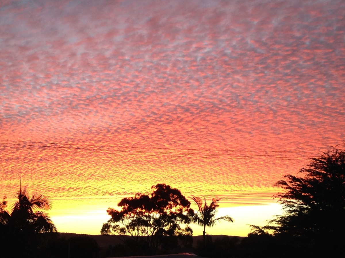 Holiday rentals Shelly Beach