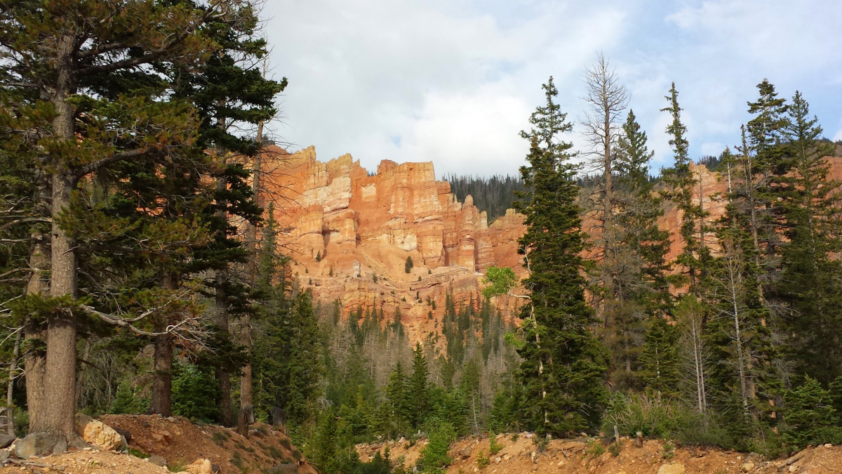 Holiday rentals Cedar City