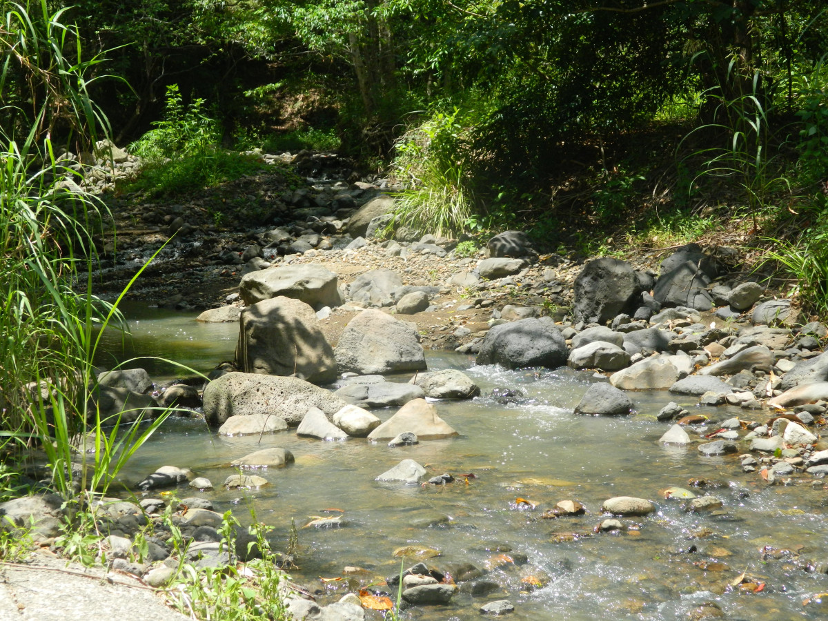 Holiday rentals Mountain Creek