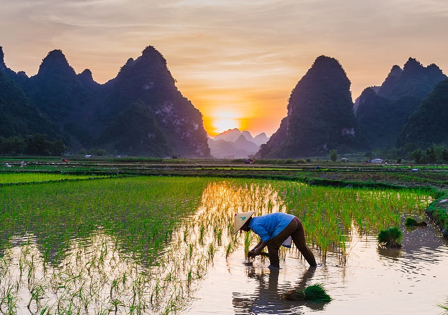 Hotels in Longsheng