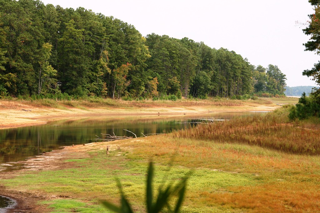 Case Vacanze Pine Lake