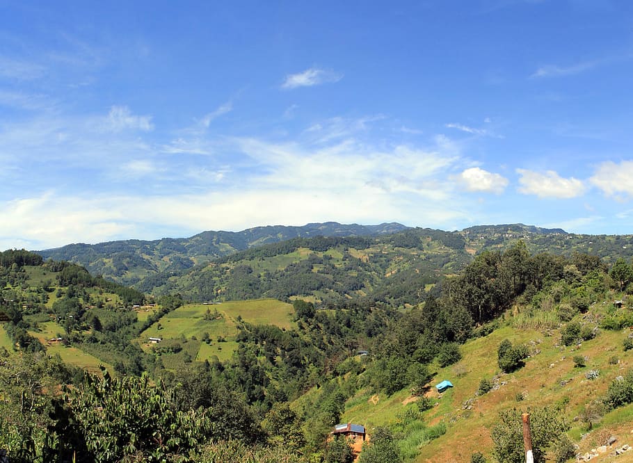 Holiday rentals Orizaba