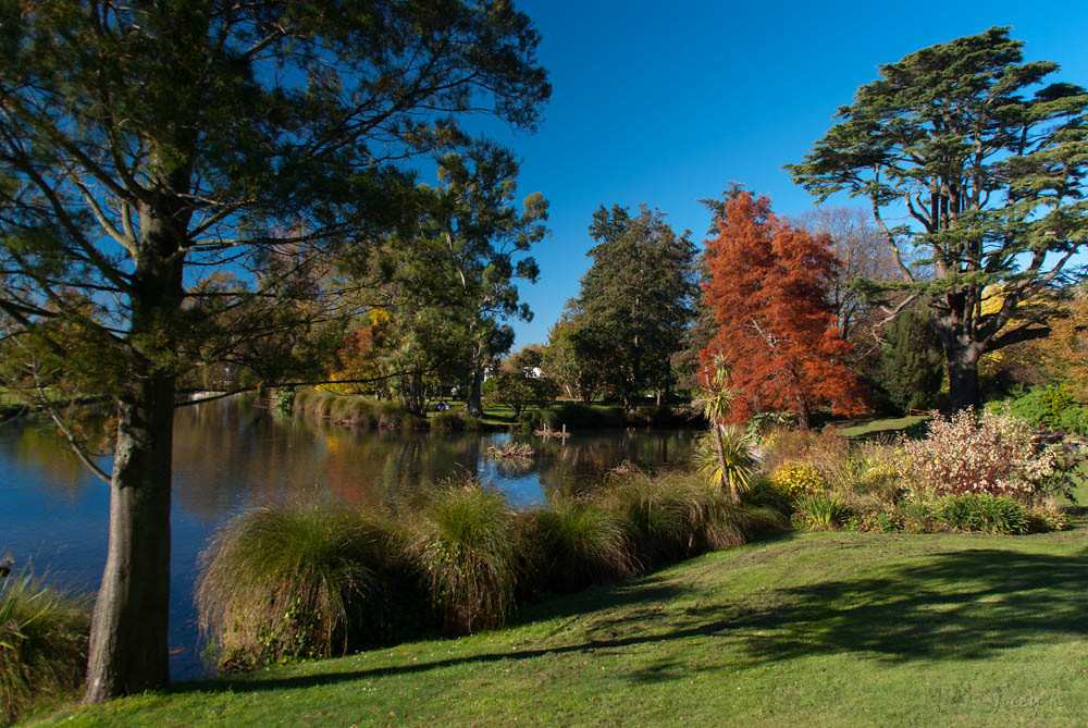 Holiday rentals Mona Vale