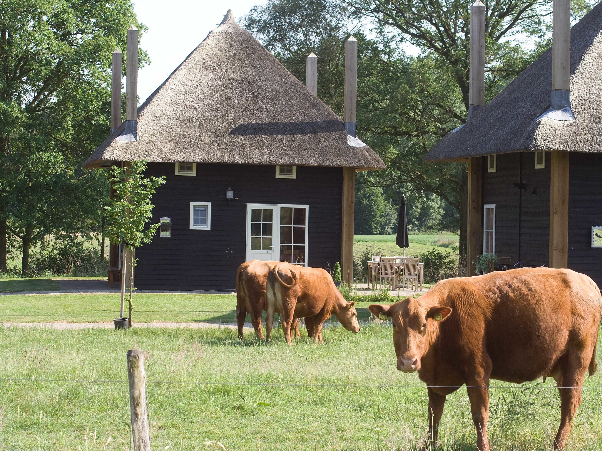 Authentically designed house with dishwasher, in Twente