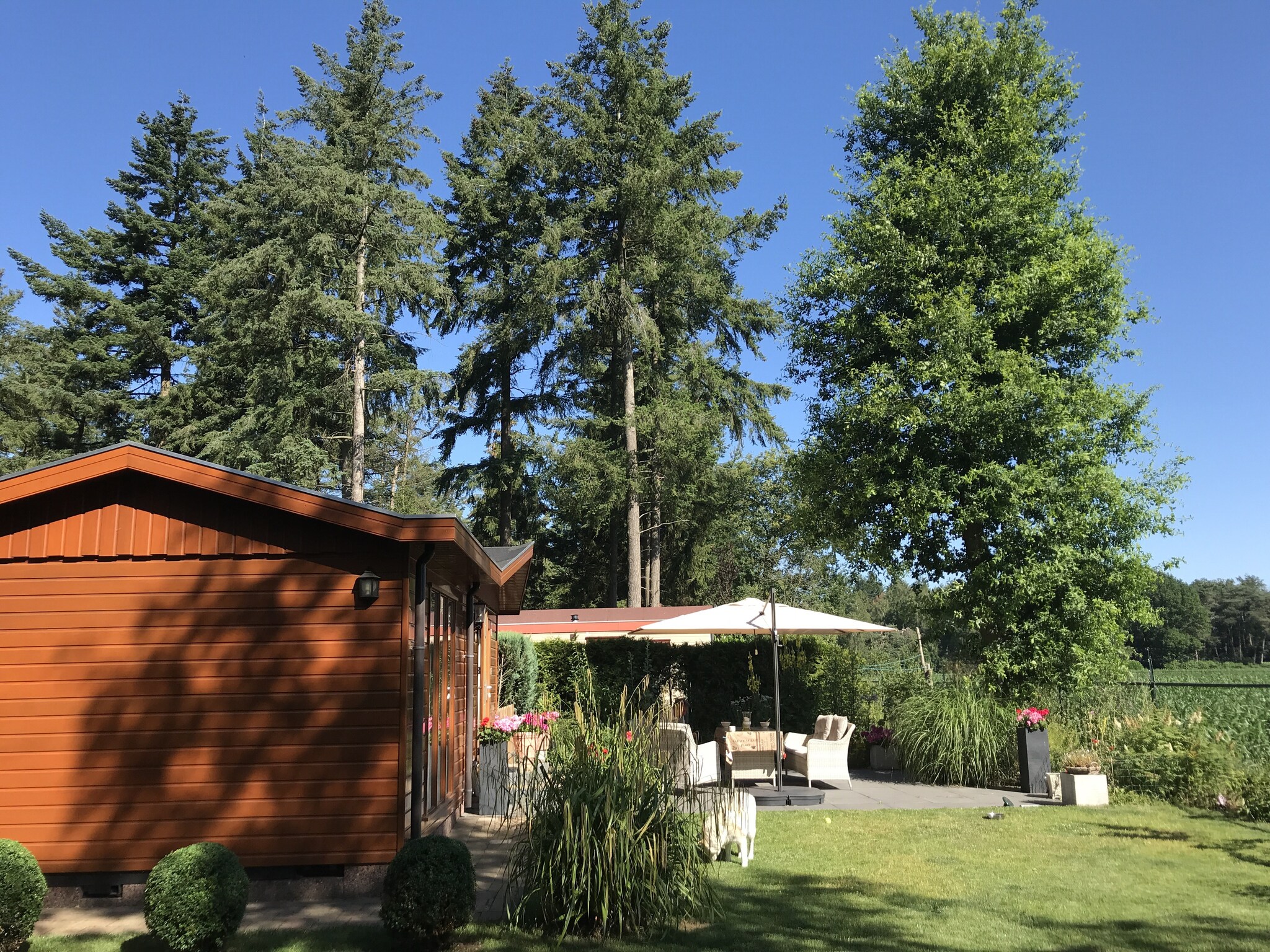 Chalet in holiday park with spacious living room, large enclosed garden and unobstructed view