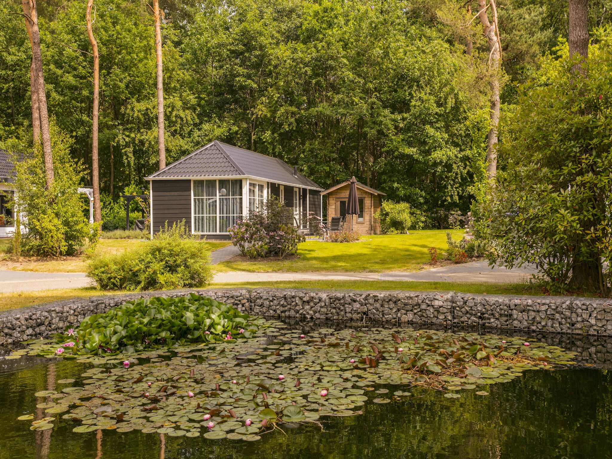 Modern designed chalet with a smart TV, next to the forest