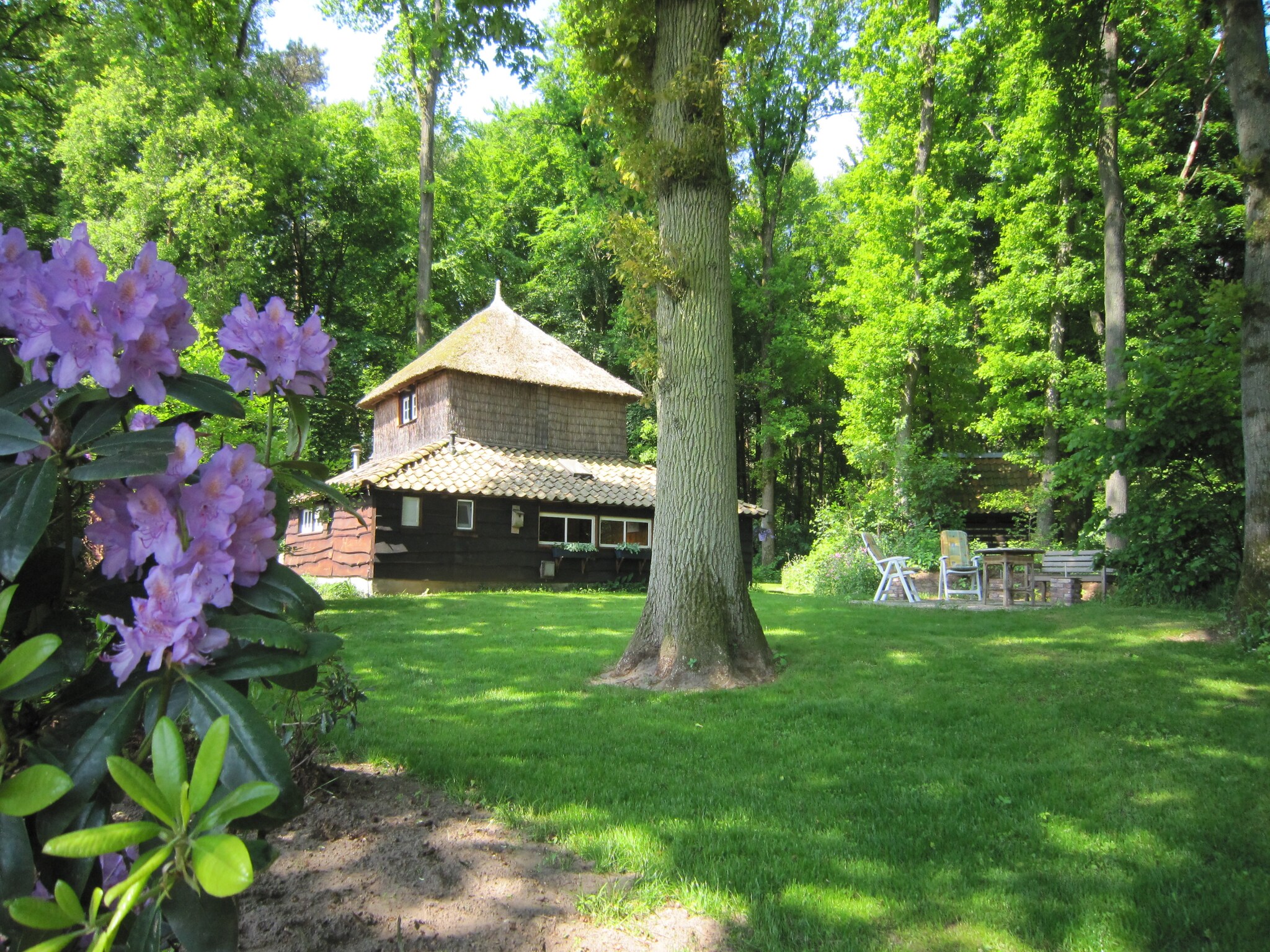 Charming Holiday Home in Hellendoorn Amidst the Forest