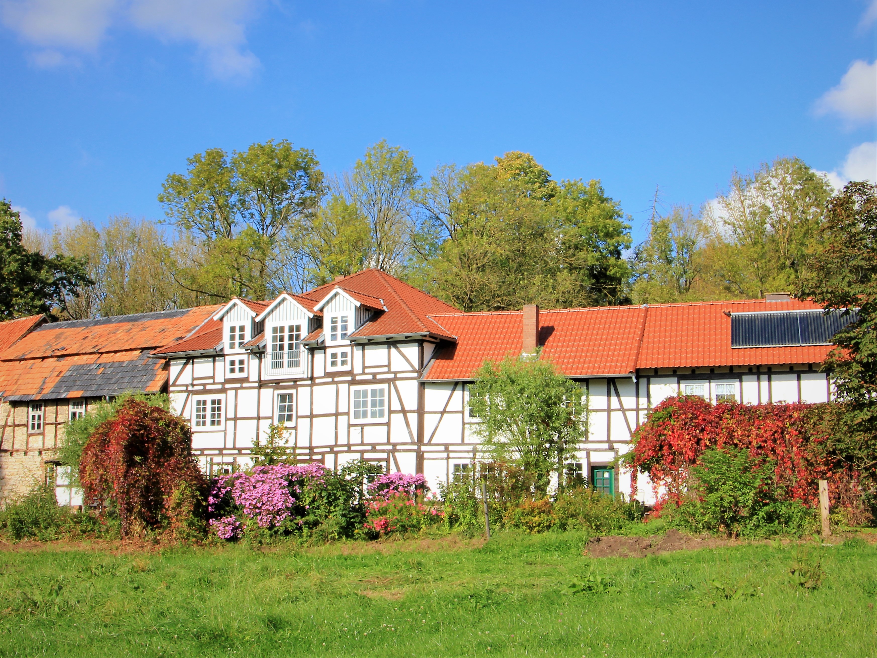 Apartment for 3 persons in Liebenau-Niedermeiser, Hesse (Hesse Highlands)<BR>1 bedroom, TV, dog allom2