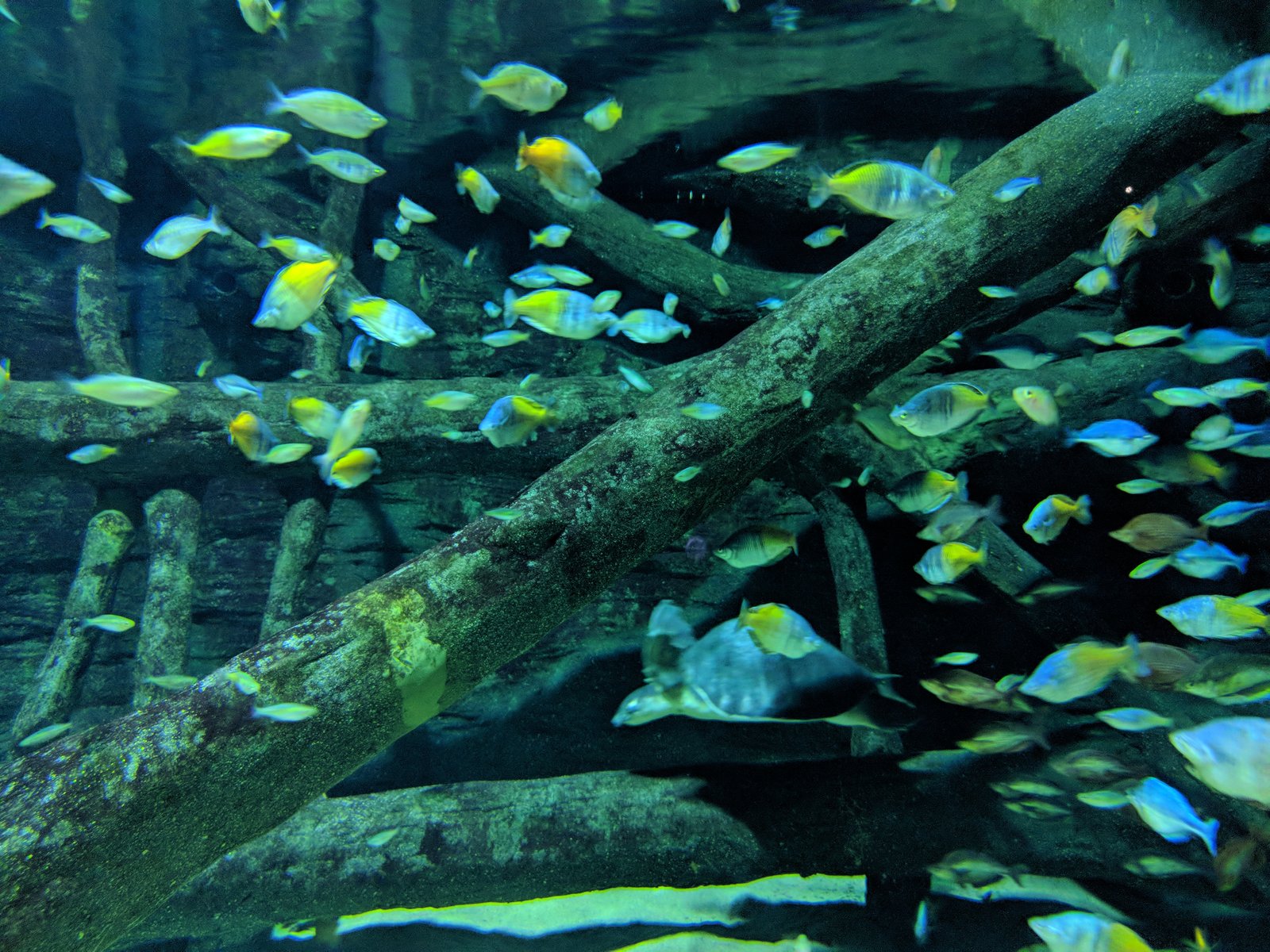 Hotel a Vancouver Aquarium