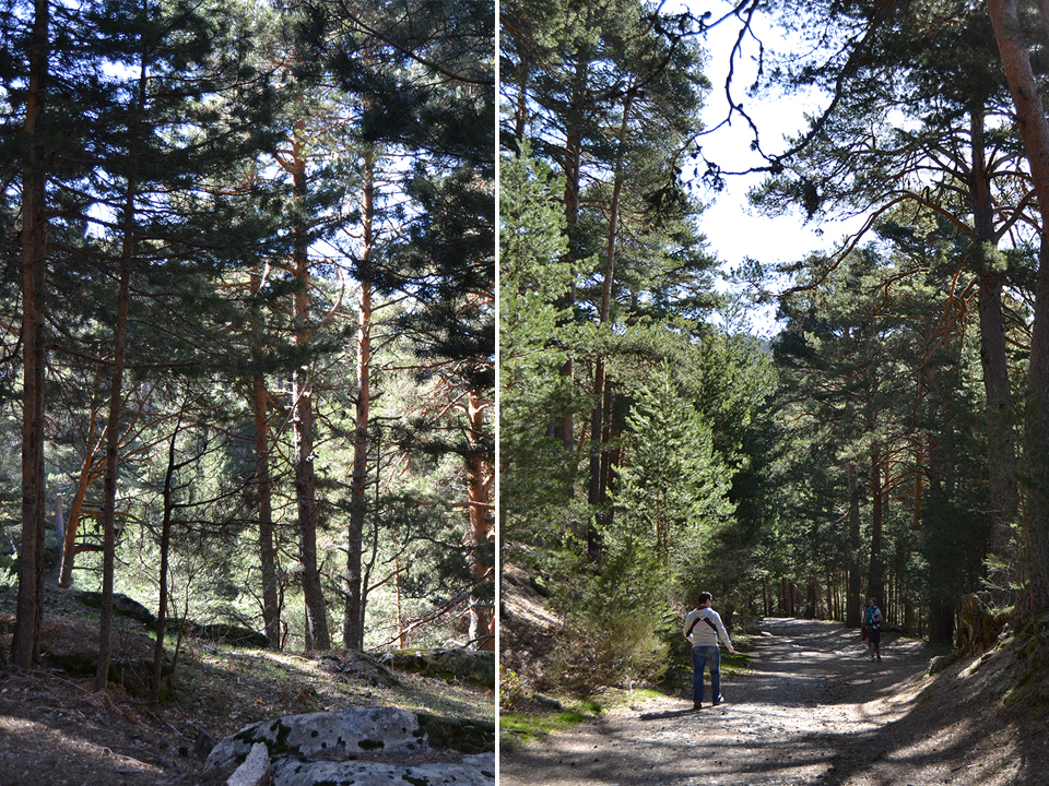 Holiday rentals Cercedilla