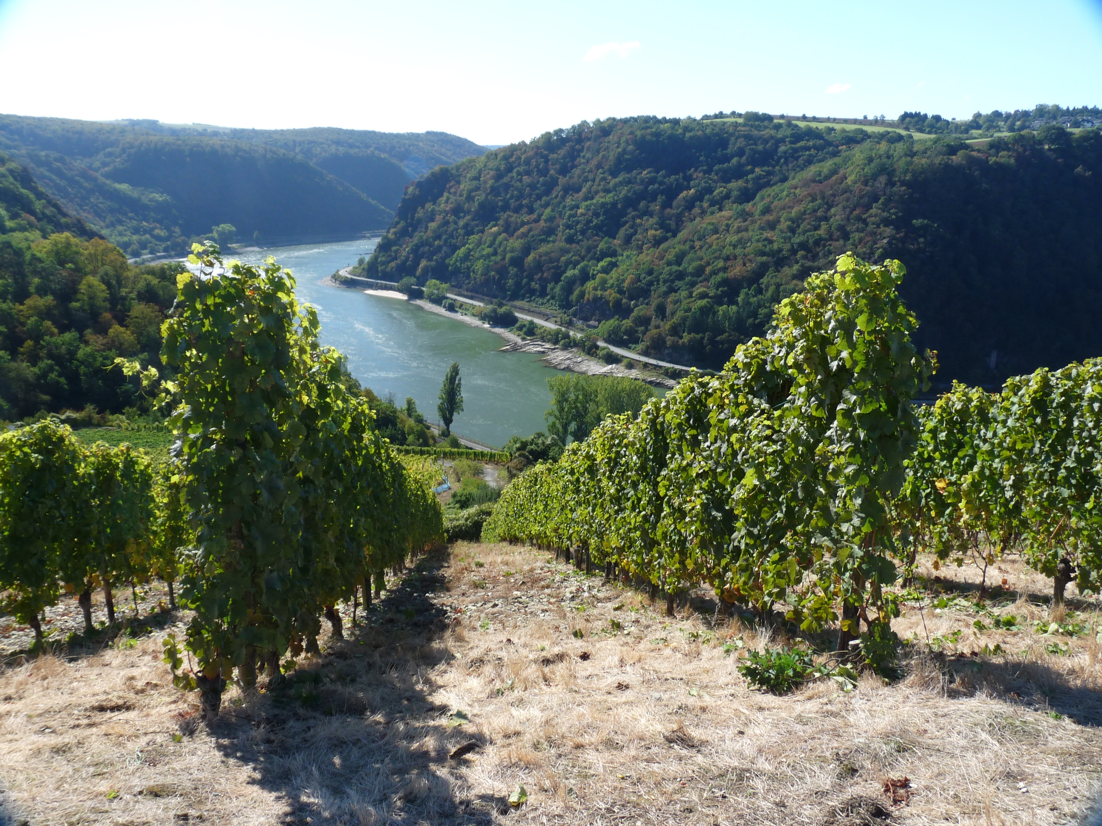Holiday rentals Neuenburg am Rhein