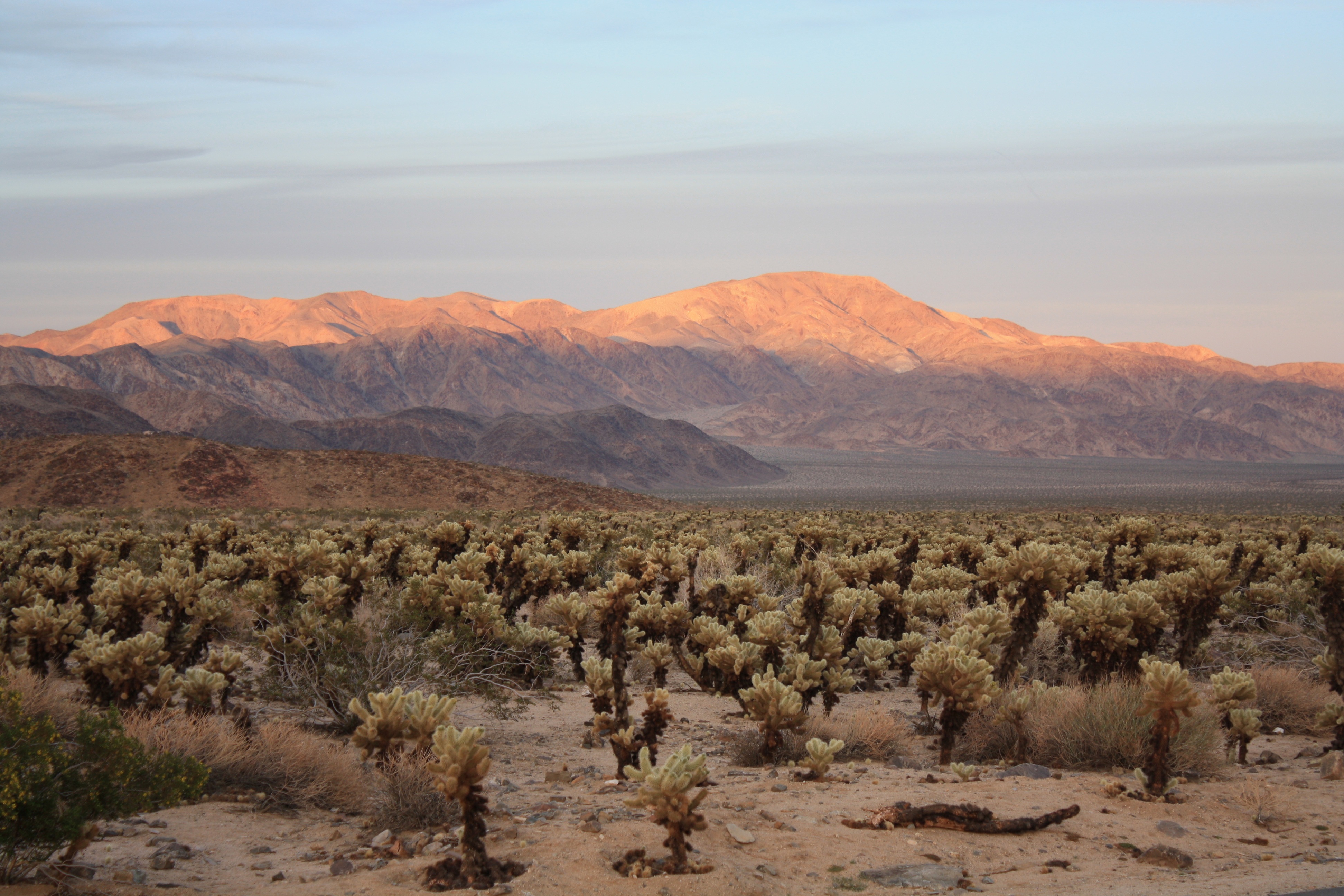 Holiday rentals Sonora