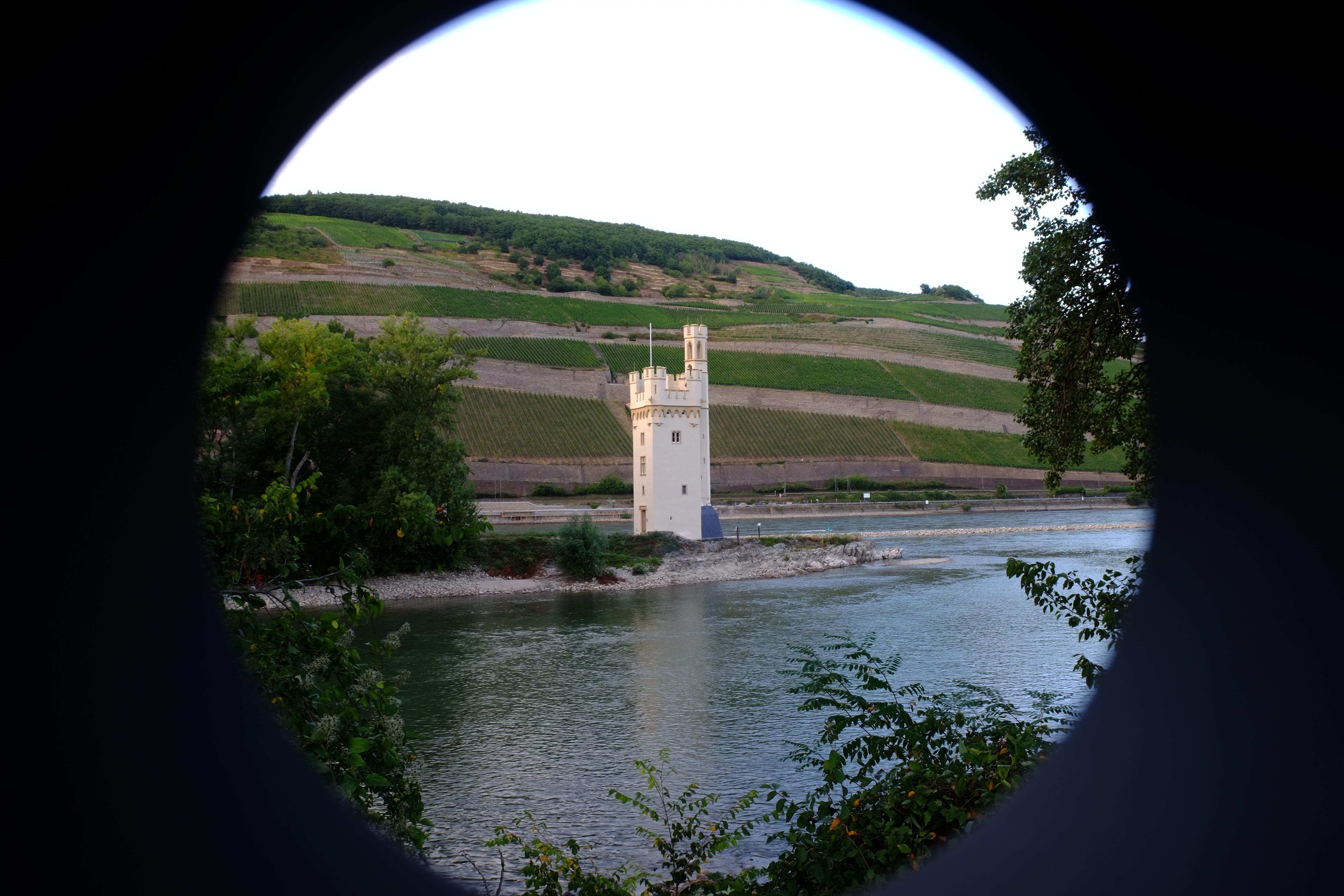 Holiday rentals Bingen am Rhein