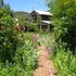 Braeside Mt Macedon Country Retreat & Bed & Breakfast