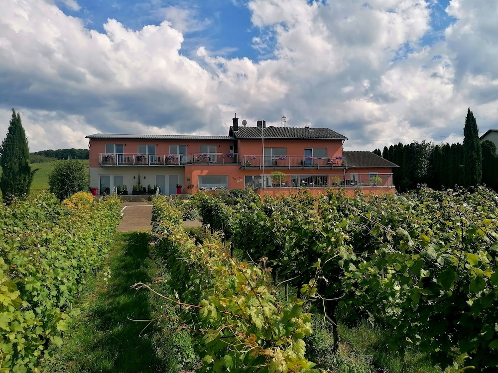 Weingut Tiliahof