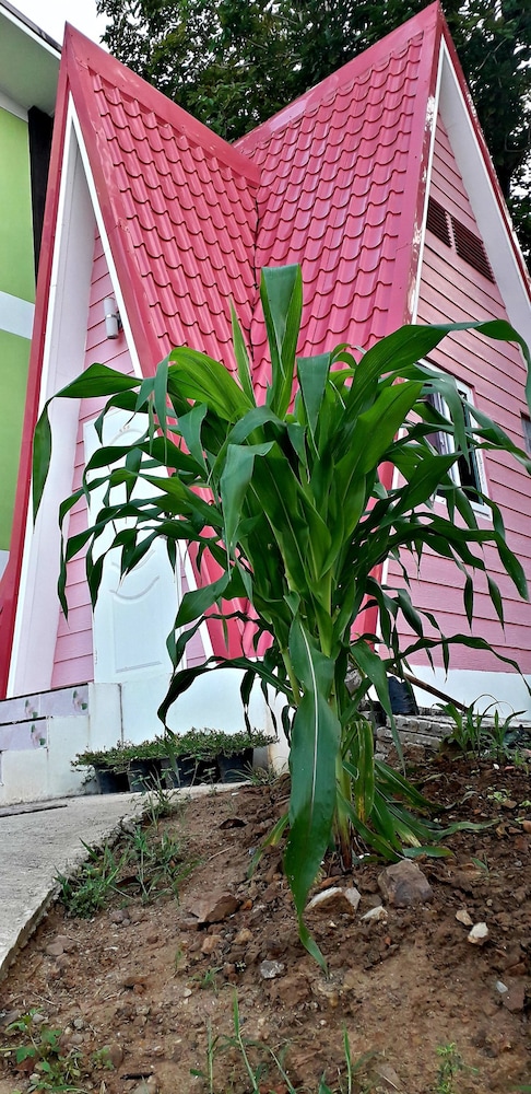 Baan Nattakan
