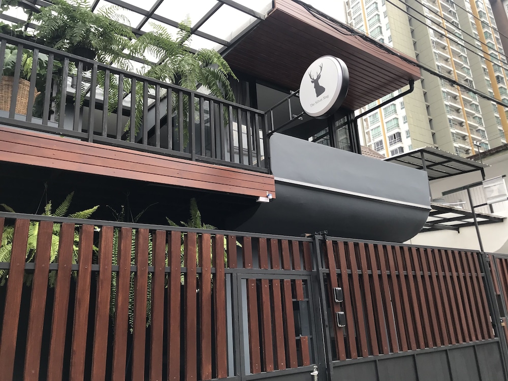 The Silver Stag 5mins BTS 9mins JJmarket