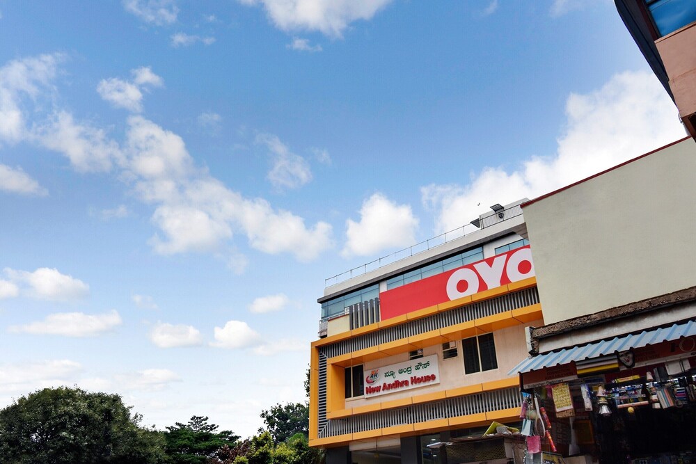 OYO Flagship 46682 New Andra House