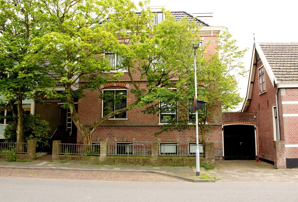 De Zilvermeeuw