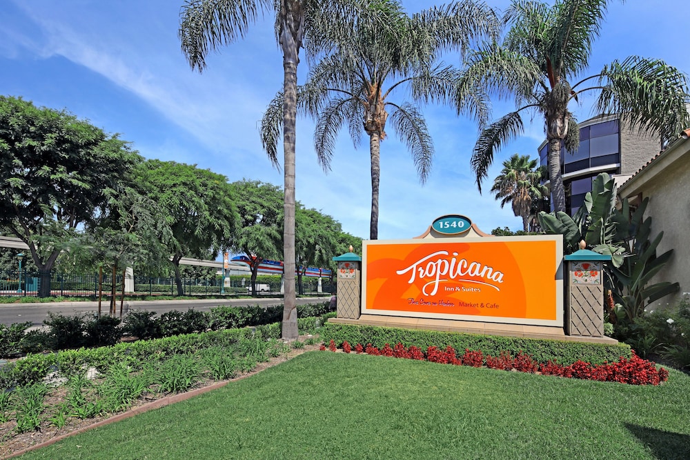 Tropicana Inn and Suites