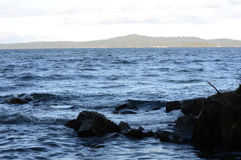 Eagle Rock Bed and Breakfast