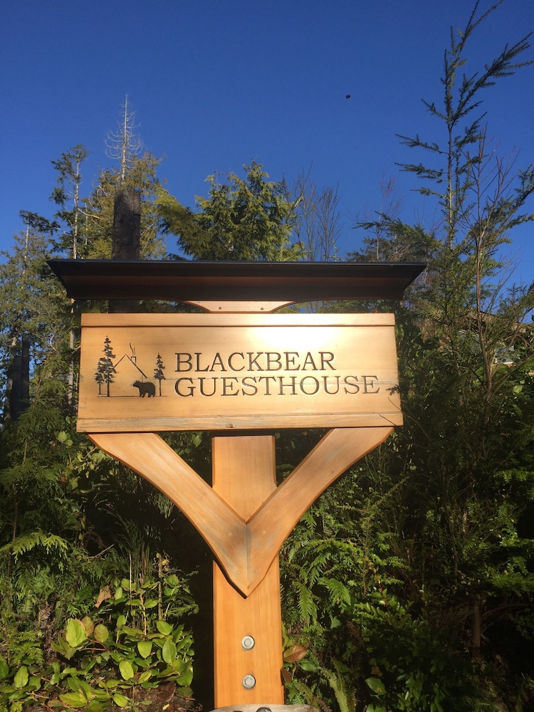 Black Bear Guesthouse