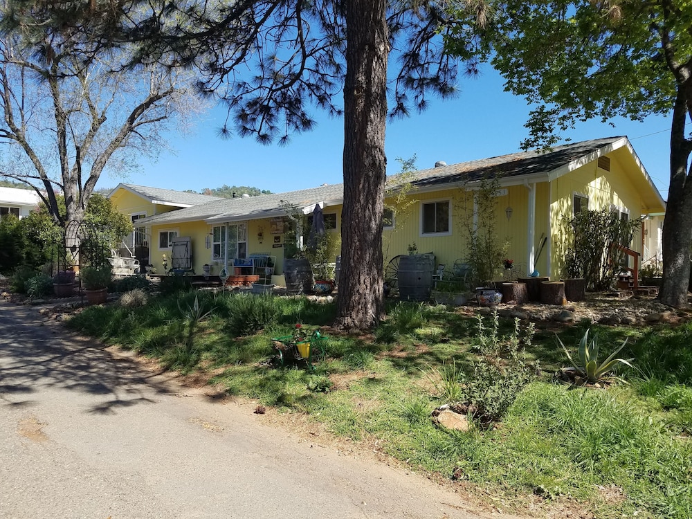 Yosemite Plaisance Bed & Breakfast