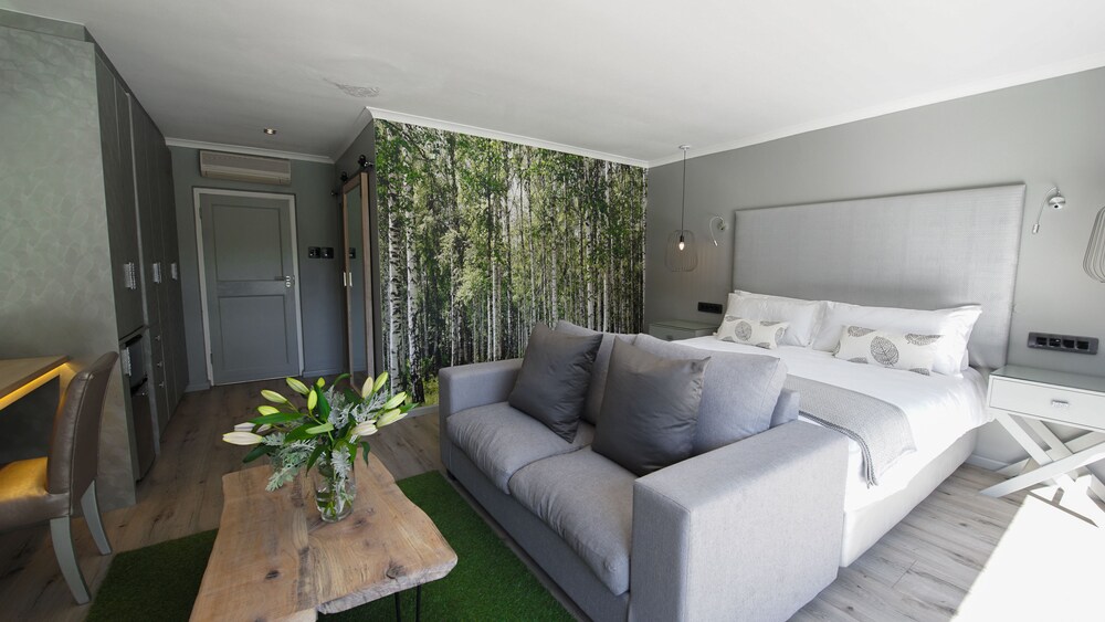 Silver Forest Boutique Hotel and Spa