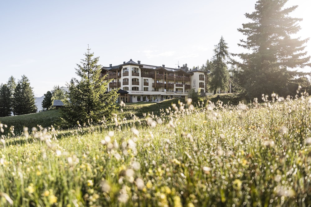 Hotel Steger-Dellai