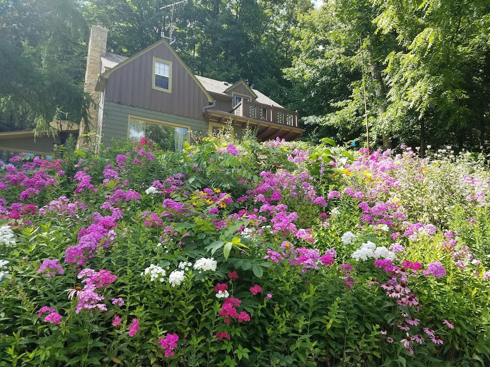 Contented Cottage Bed and Breakfast