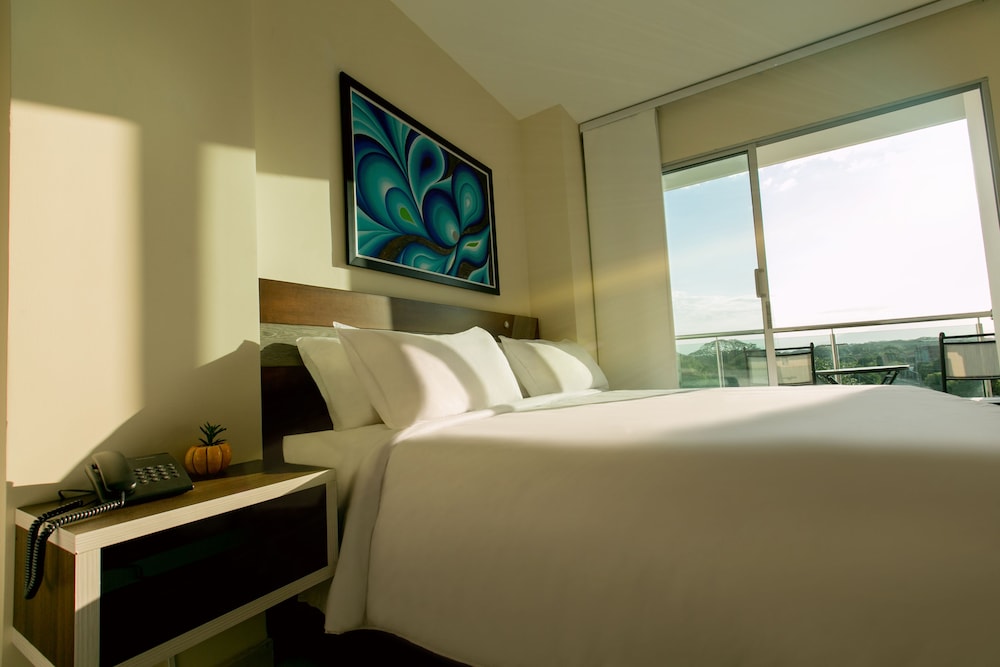 Hotel Mayales Plaza