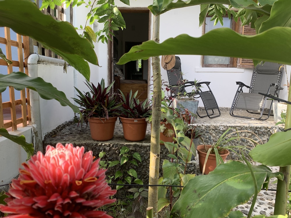Domus Rio Papagaio