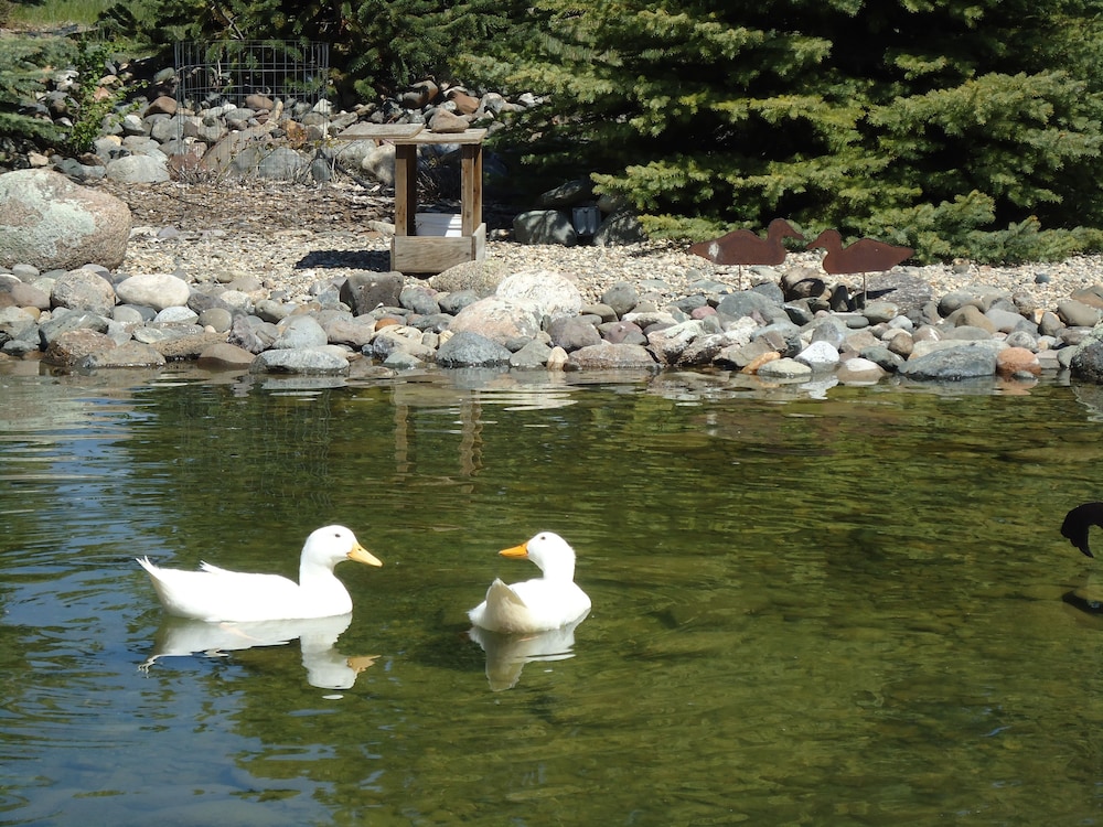 Paradise Gateway B&B and Vacation Homes