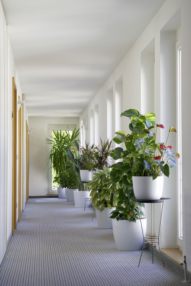 Hotel Germania