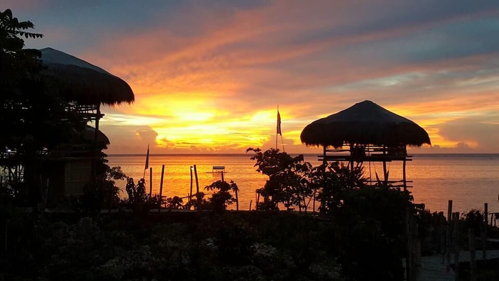 Birdland Beach Club