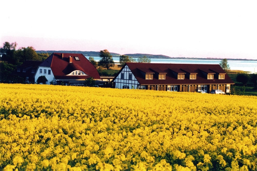 Hotel Der Wilde Schwan