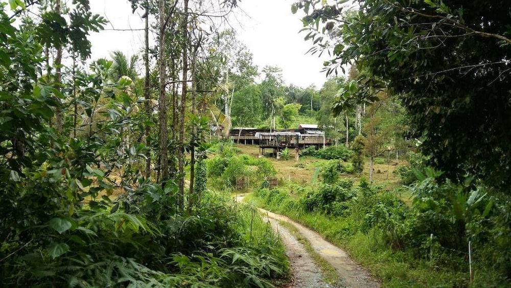 drmind farm