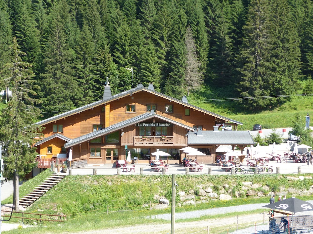 La Perdrix Blanche