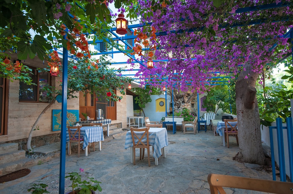 Thetis Pansiyon