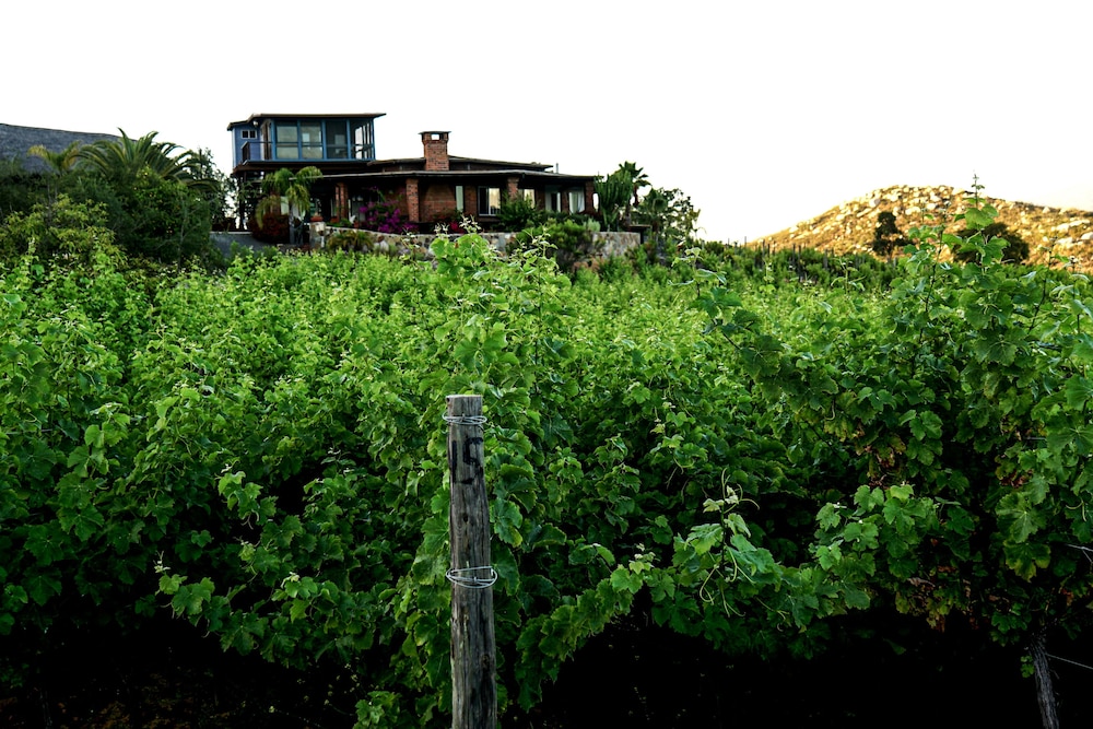 Rancho Cien Piedras