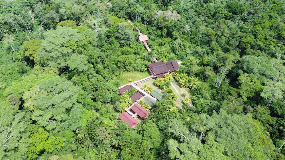 Amazon Wonder Expeditions