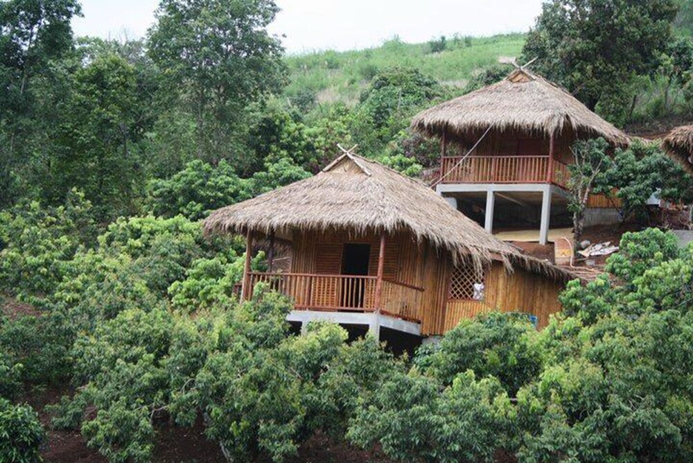 Wawee Strawberry House
