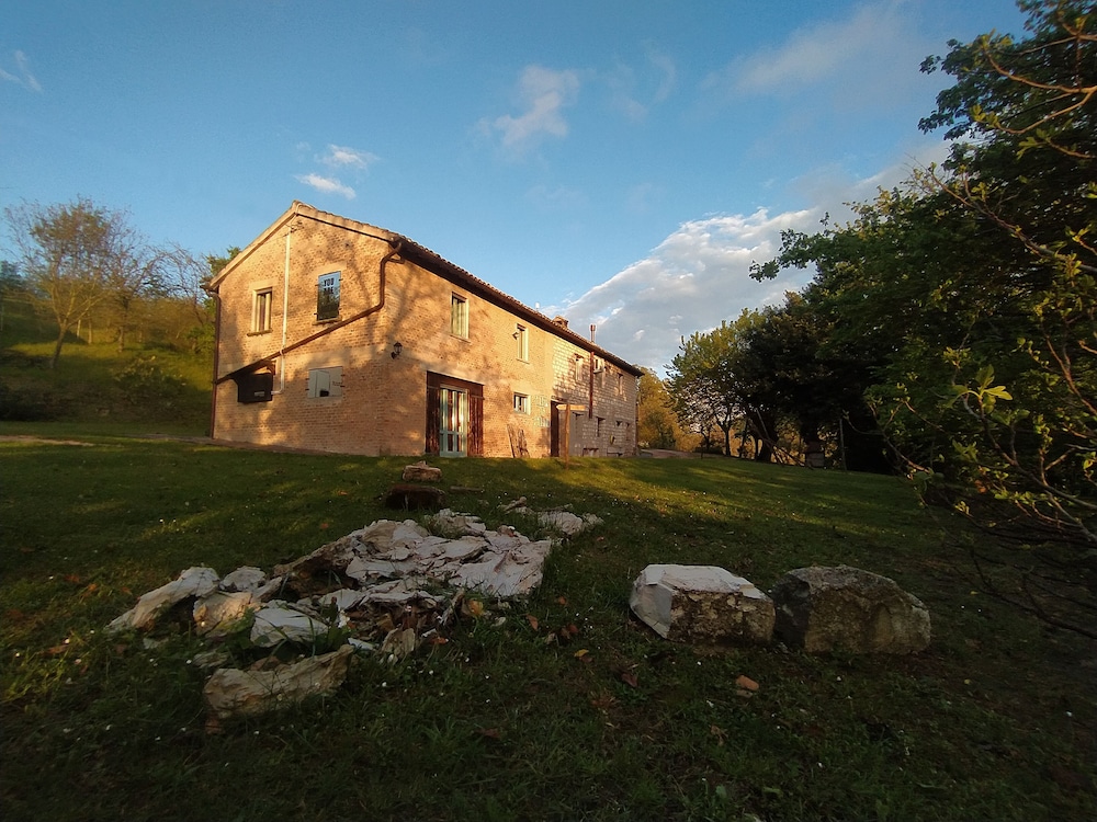 Casa Sponge