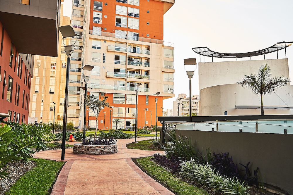 Dodo Horizontes Chapultepec