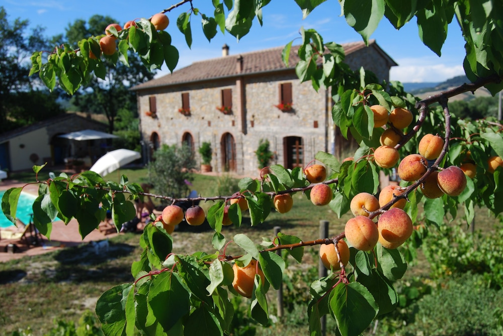 Podere I Melograni