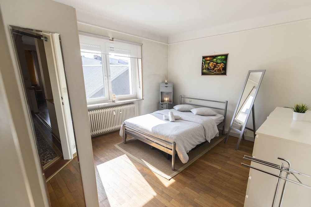 Bright 1BR Apartment City Center